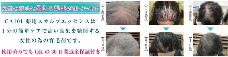 �V�[�G�[�C�`�}���C�`�����p��э܏��T�C�g